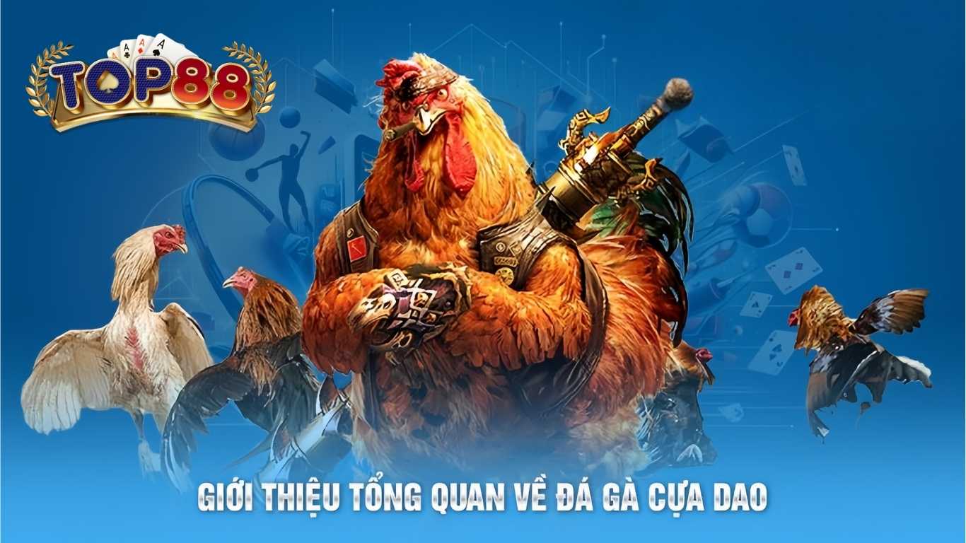 Tổng quan đá gà cựa dao 